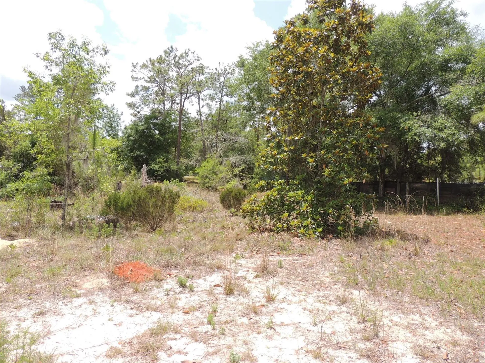 11351 SE 32nd Place Morriston FL 32668
