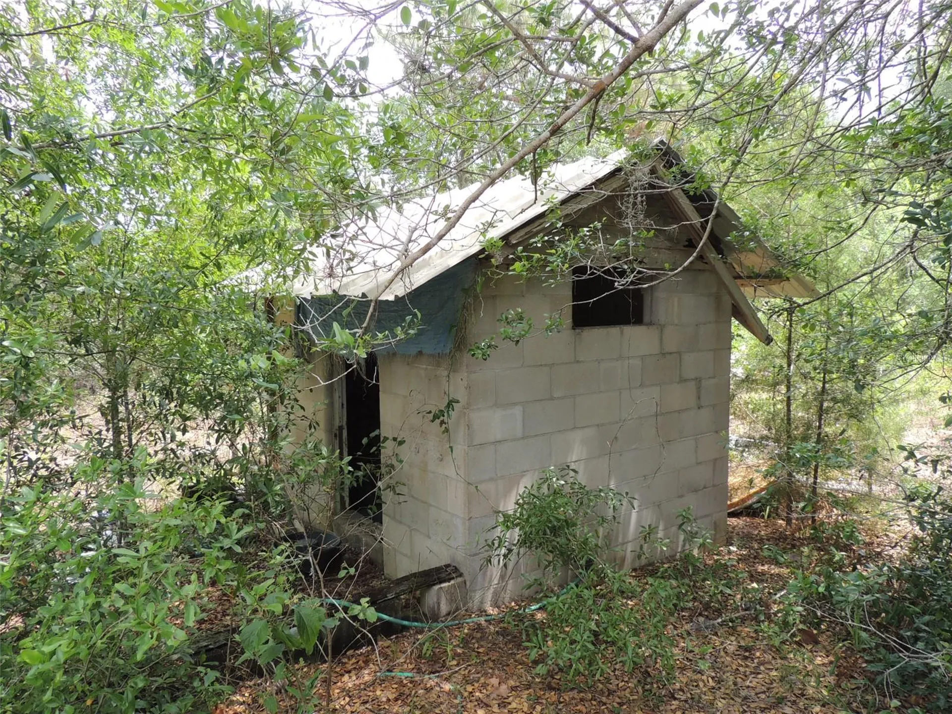 11351 SE 32nd Place Morriston FL 32668