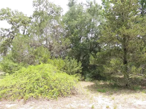 11351 SE 32nd Place Morriston FL 32668