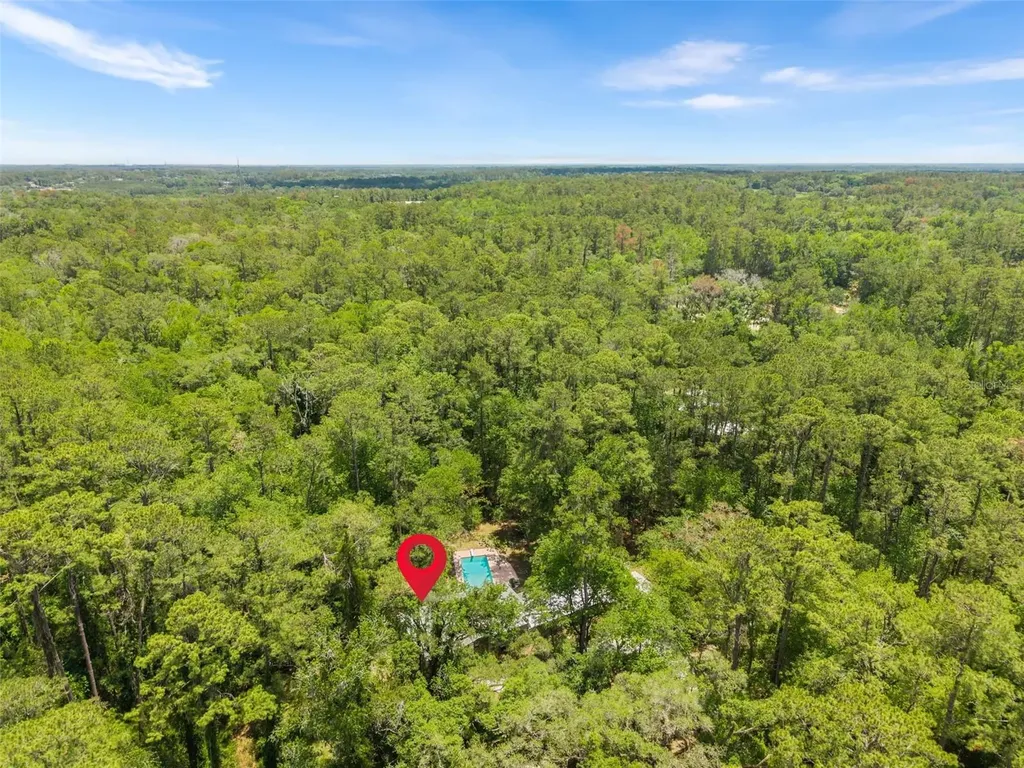 4703 NW 124th Street Gainesville FL 32606