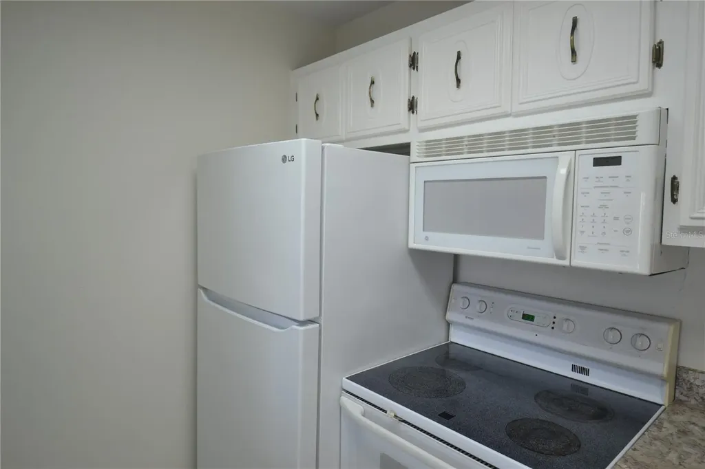 329 Moorings Cove Drive Tarpon Springs FL 34689