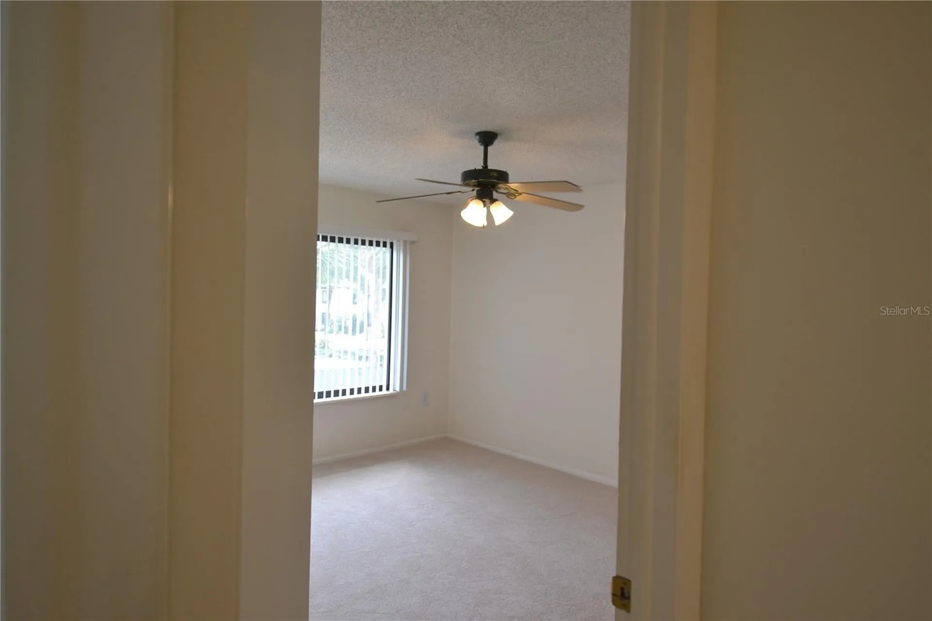 329 Moorings Cove Drive Tarpon Springs FL 34689