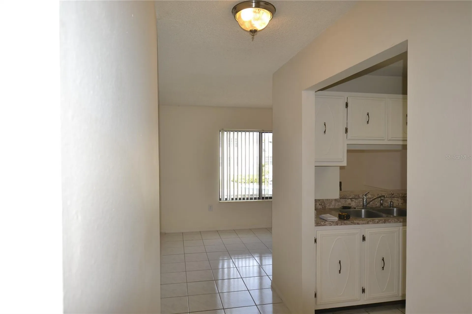 329 Moorings Cove Drive Tarpon Springs FL 34689