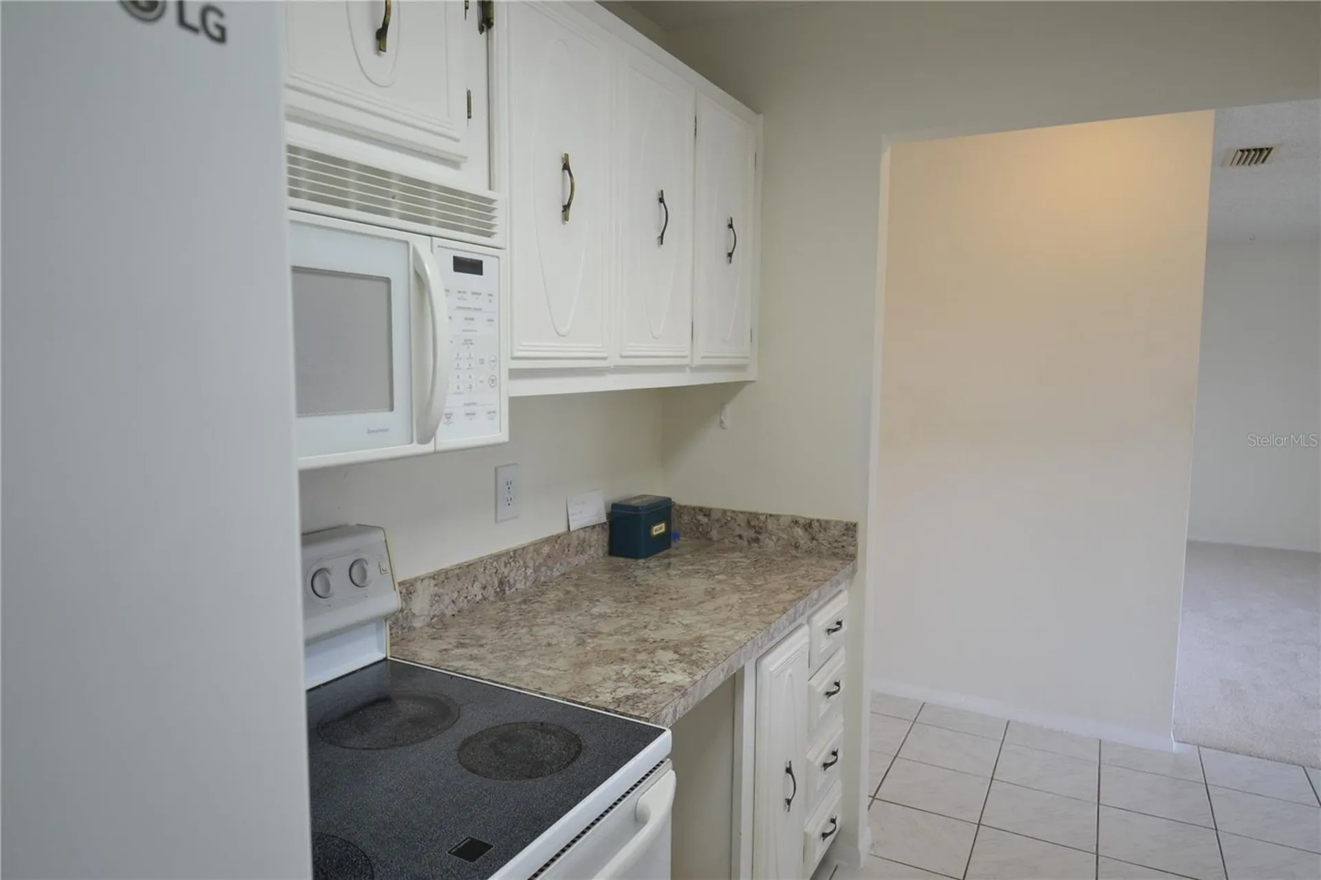 329 Moorings Cove Drive Tarpon Springs FL 34689