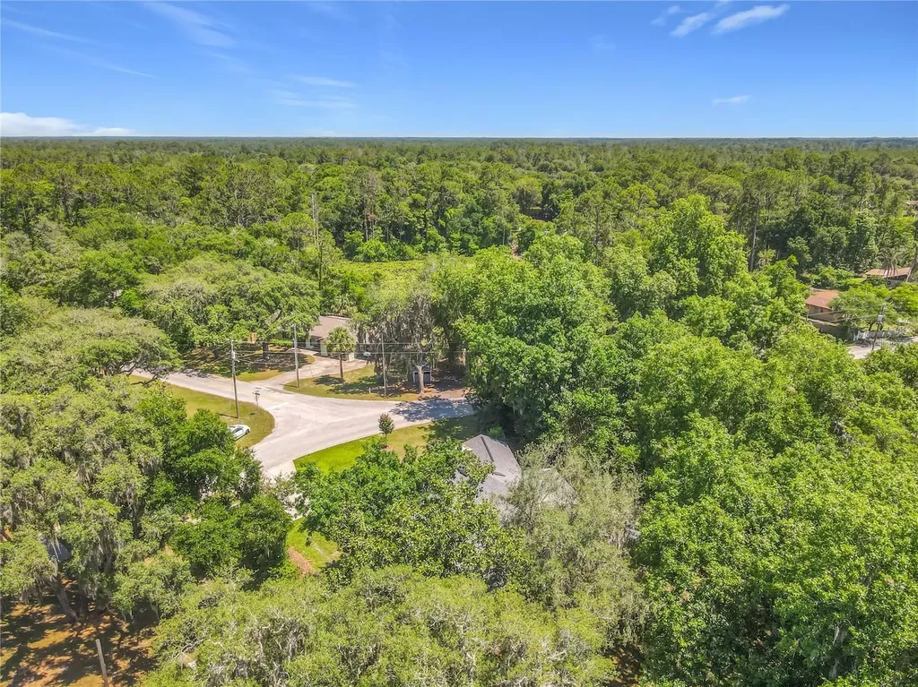 43809 Sunset Drive Paisley FL 32767