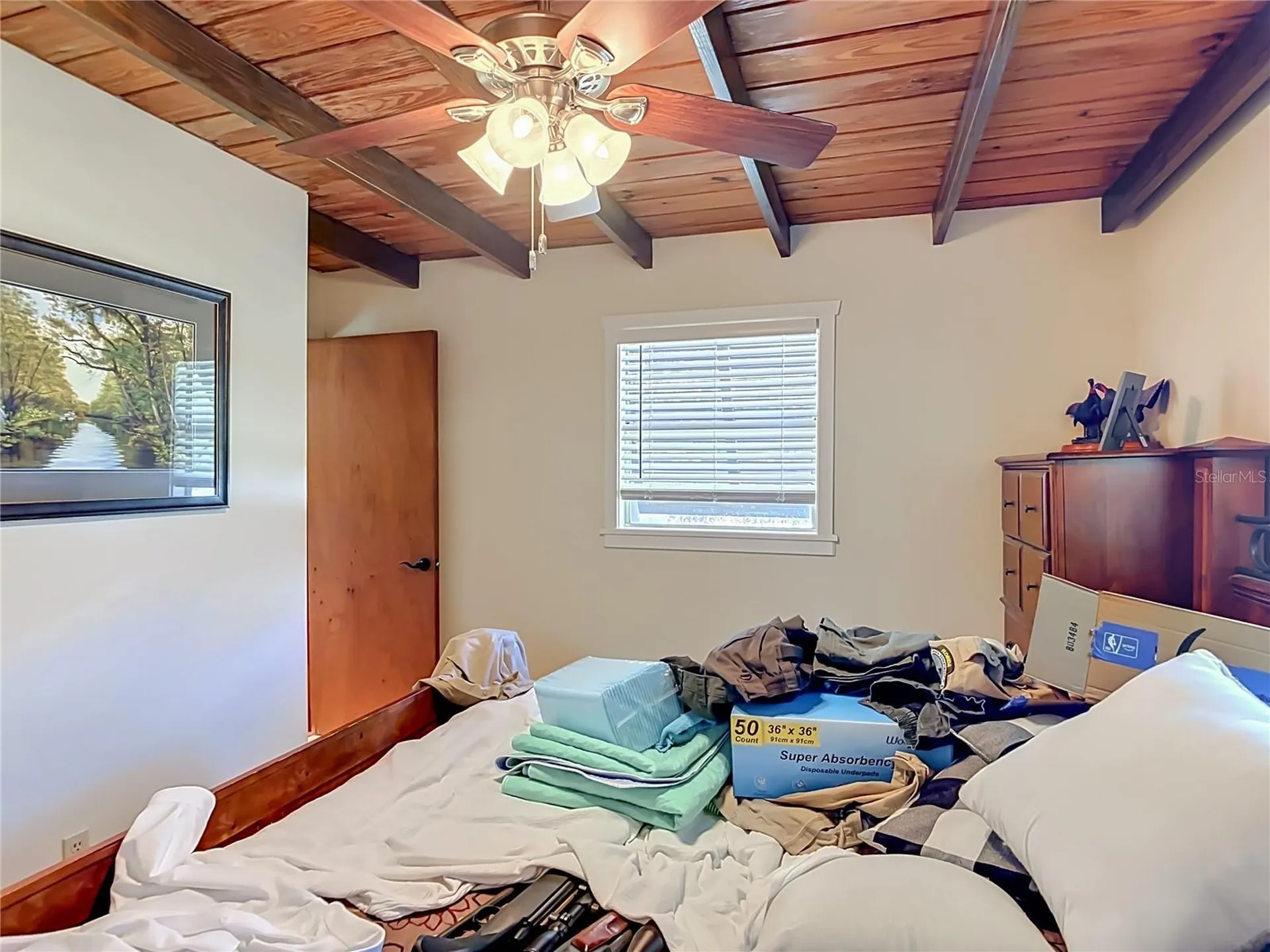 43809 Sunset Drive Paisley FL 32767