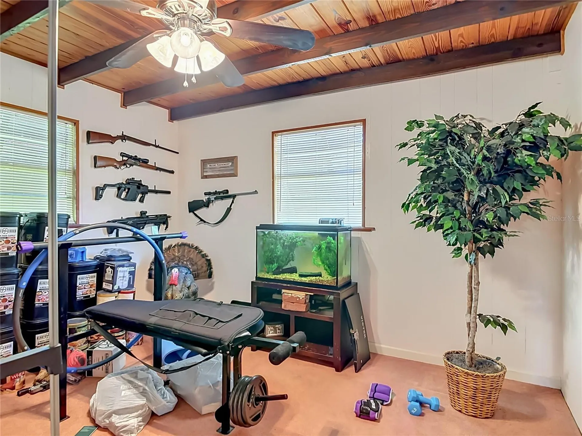 43809 Sunset Drive Paisley FL 32767