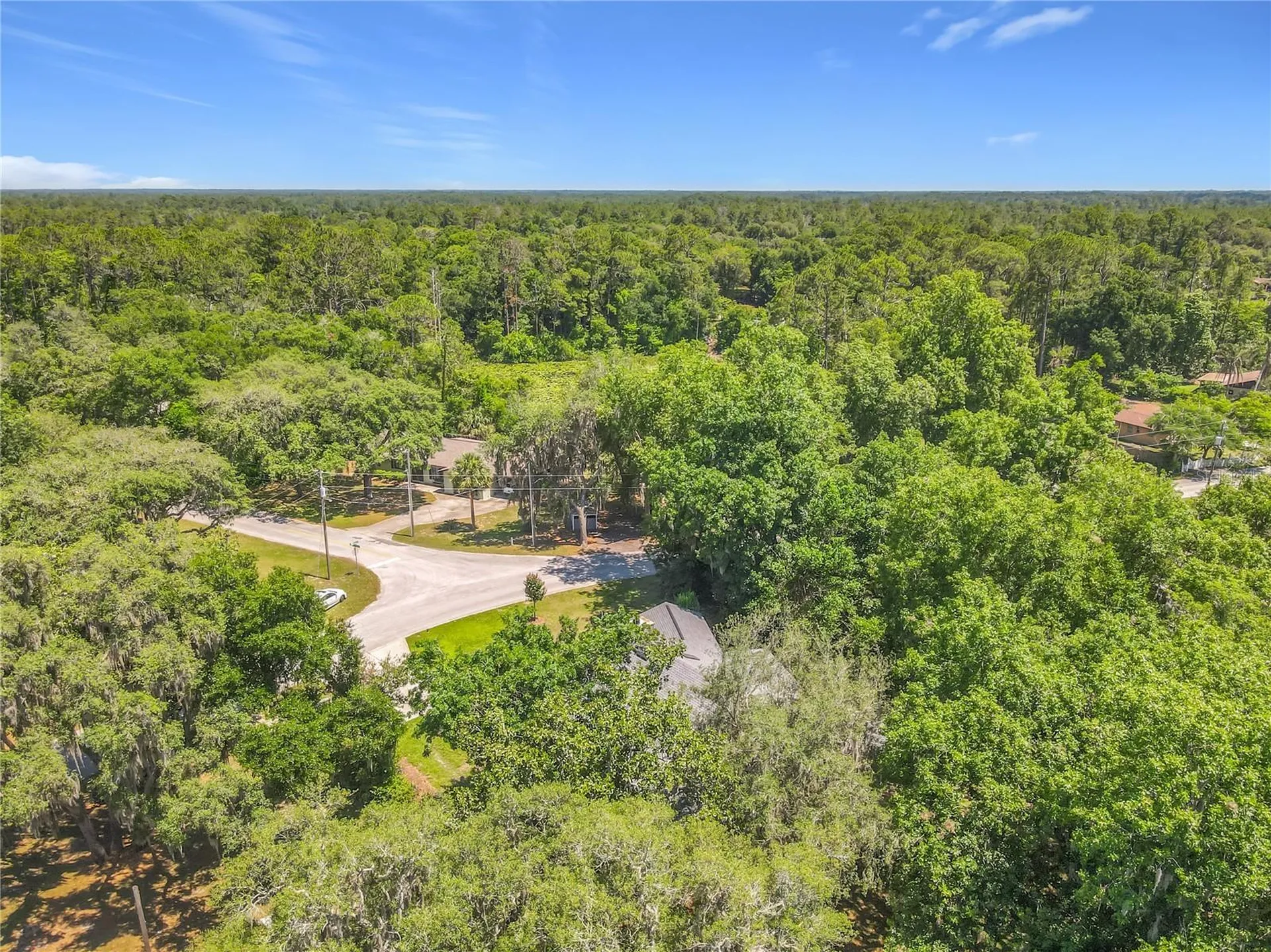 43809 Sunset Drive Paisley FL 32767