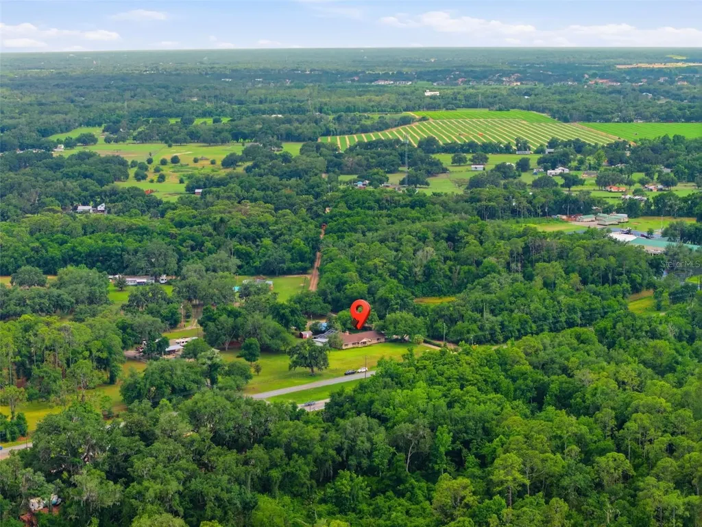 13525 301 Highway N Thonotosassa FL 33592