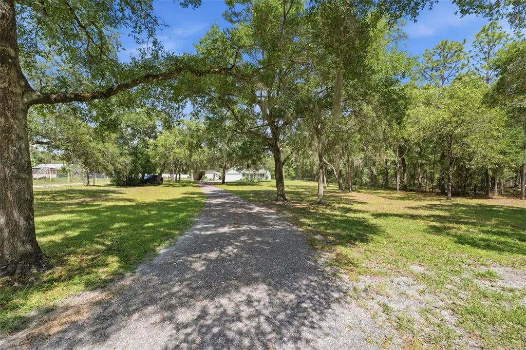 7020 Alberta Street Brooksville FL 34604