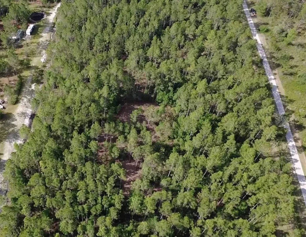 859 Wild Cur Road Pierson FL 32180