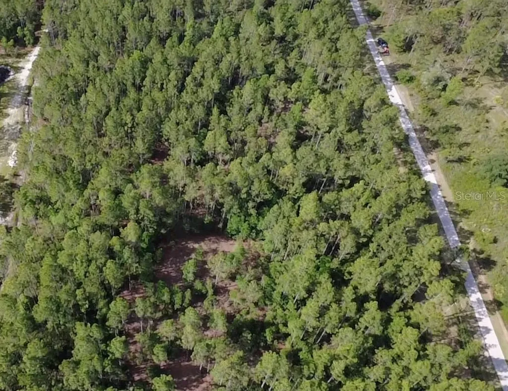 859 Wild Cur Road Pierson FL 32180