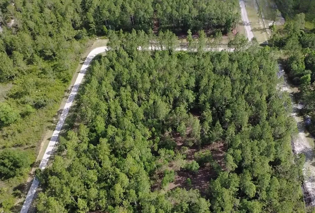 859 Wild Cur Road Pierson FL 32180