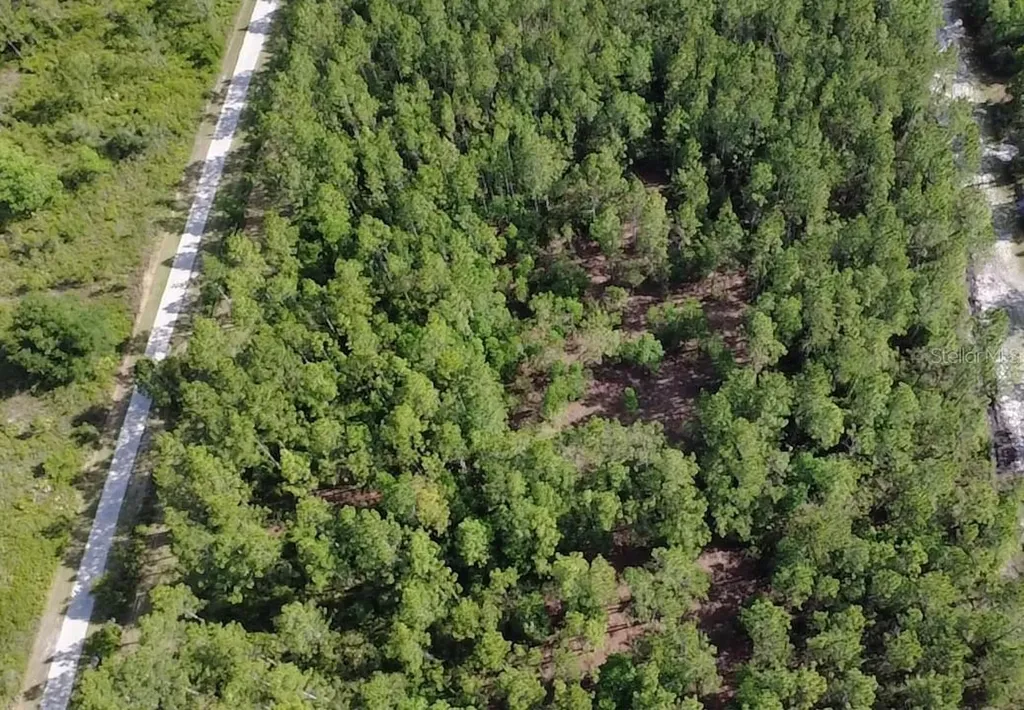 859 Wild Cur Road Pierson FL 32180