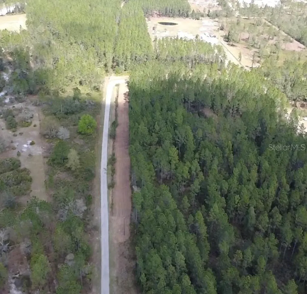 859 Wild Cur Road Pierson FL 32180