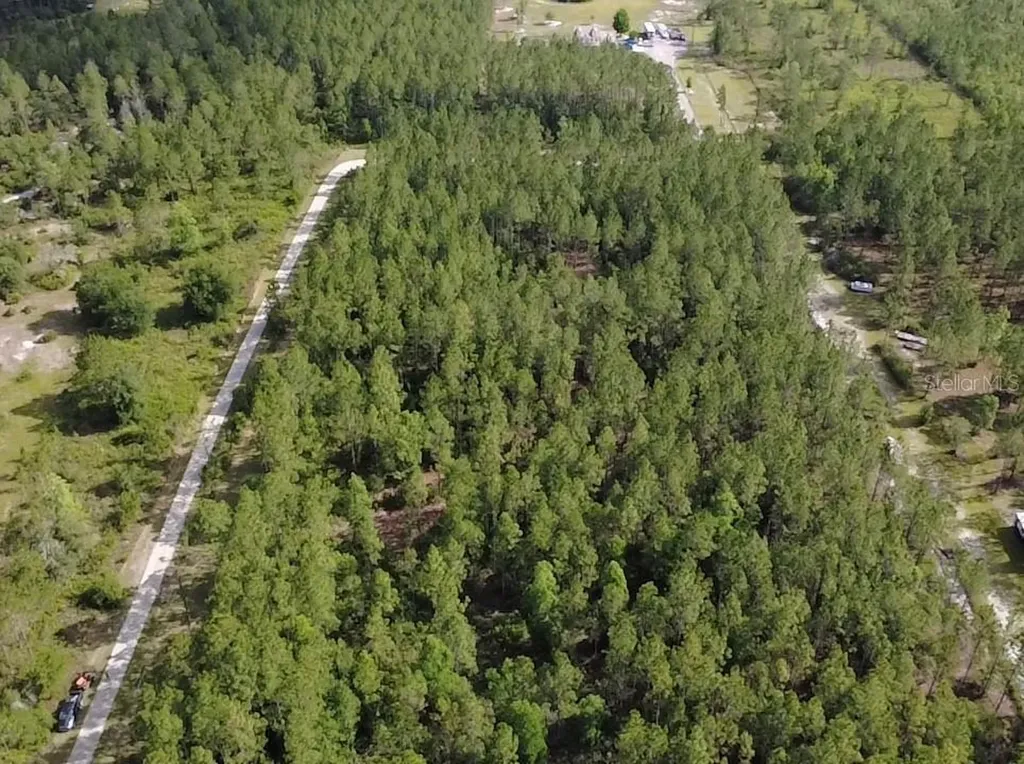 859 Wild Cur Road Pierson FL 32180
