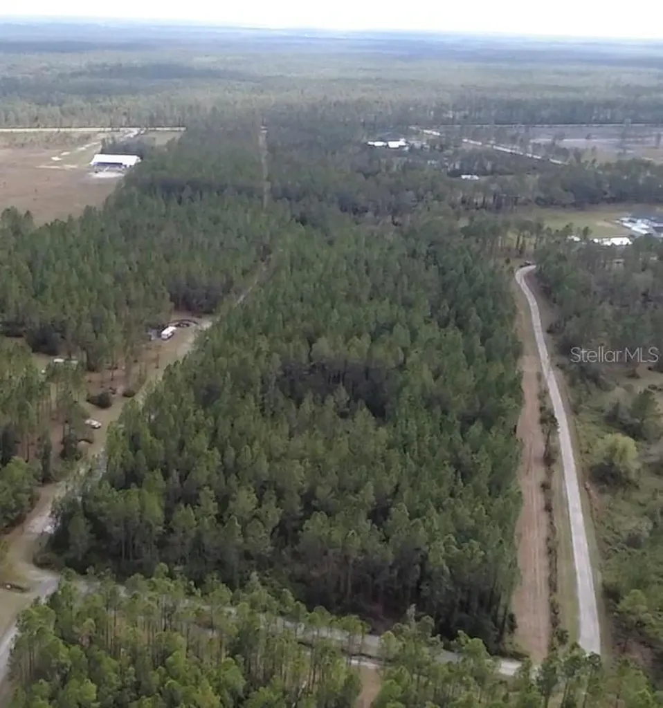859 Wild Cur Road Pierson FL 32180