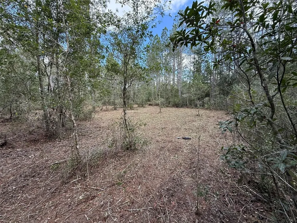 859 Wild Cur Road Pierson FL 32180