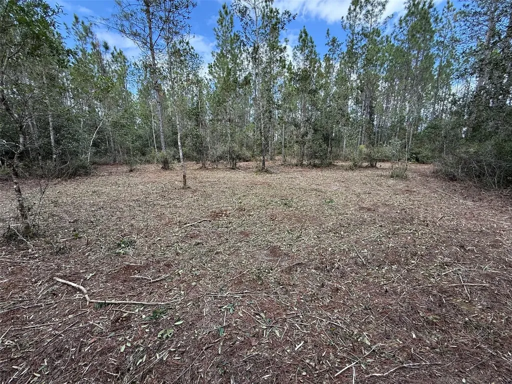 859 Wild Cur Road Pierson FL 32180