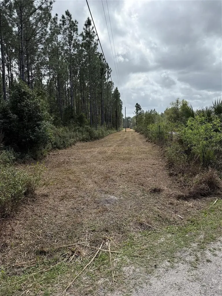 859 Wild Cur Road Pierson FL 32180