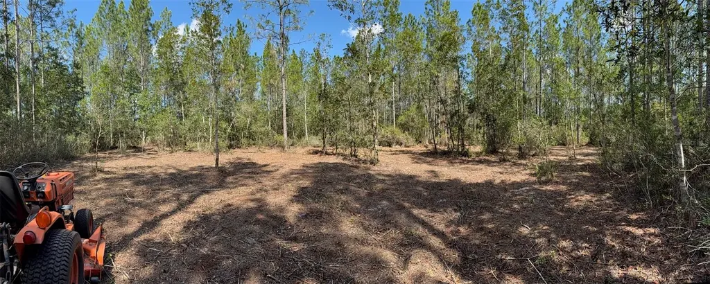 859 Wild Cur Road Pierson FL 32180