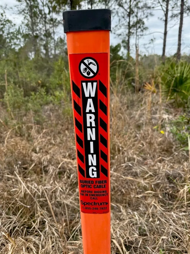 859 Wild Cur Road Pierson FL 32180