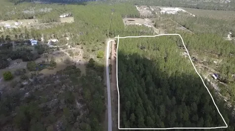 859 Wild Cur Road Pierson FL 32180