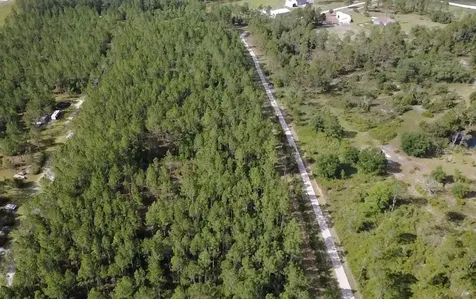 859 Wild Cur Road Pierson FL 32180