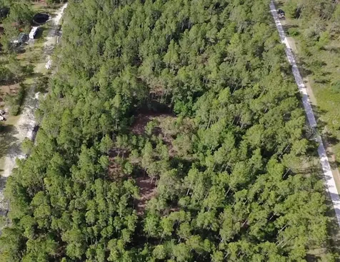 859 Wild Cur Road Pierson FL 32180