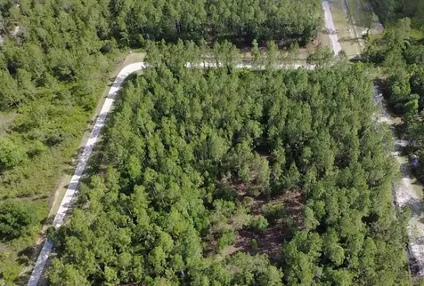 859 Wild Cur Road Pierson FL 32180