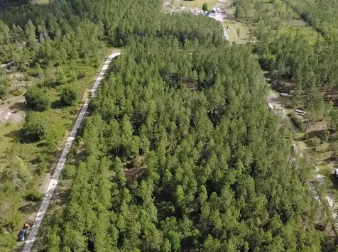 859 Wild Cur Road Pierson FL 32180