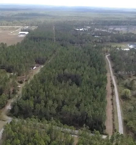 859 Wild Cur Road Pierson FL 32180