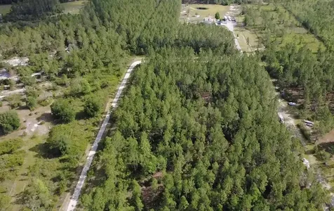 859 Wild Cur Road Pierson FL 32180
