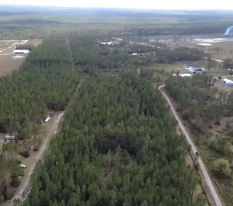 859 Wild Cur Road Pierson FL 32180
