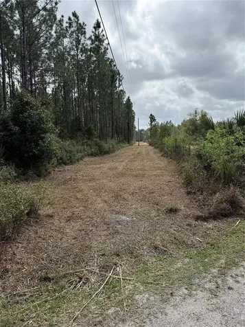 859 Wild Cur Road Pierson FL 32180