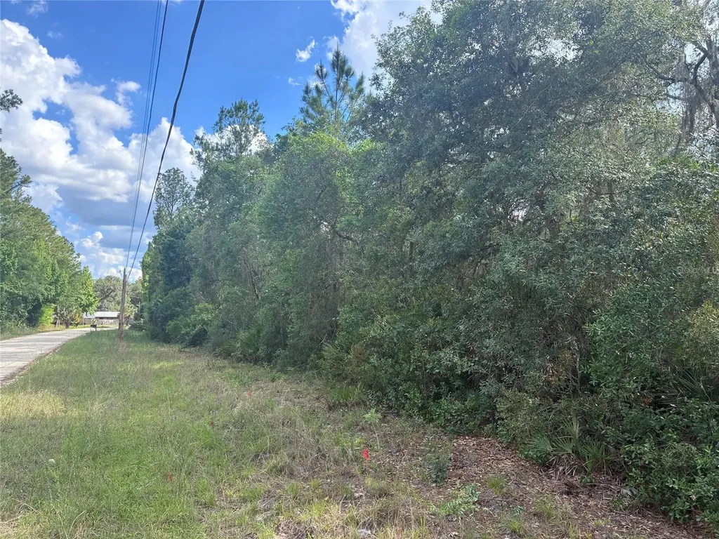 16464 NE 35 Road Citra FL 32113