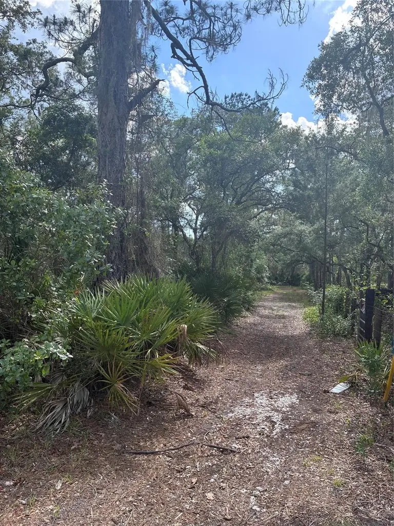 16464 NE 35 Road Citra FL 32113