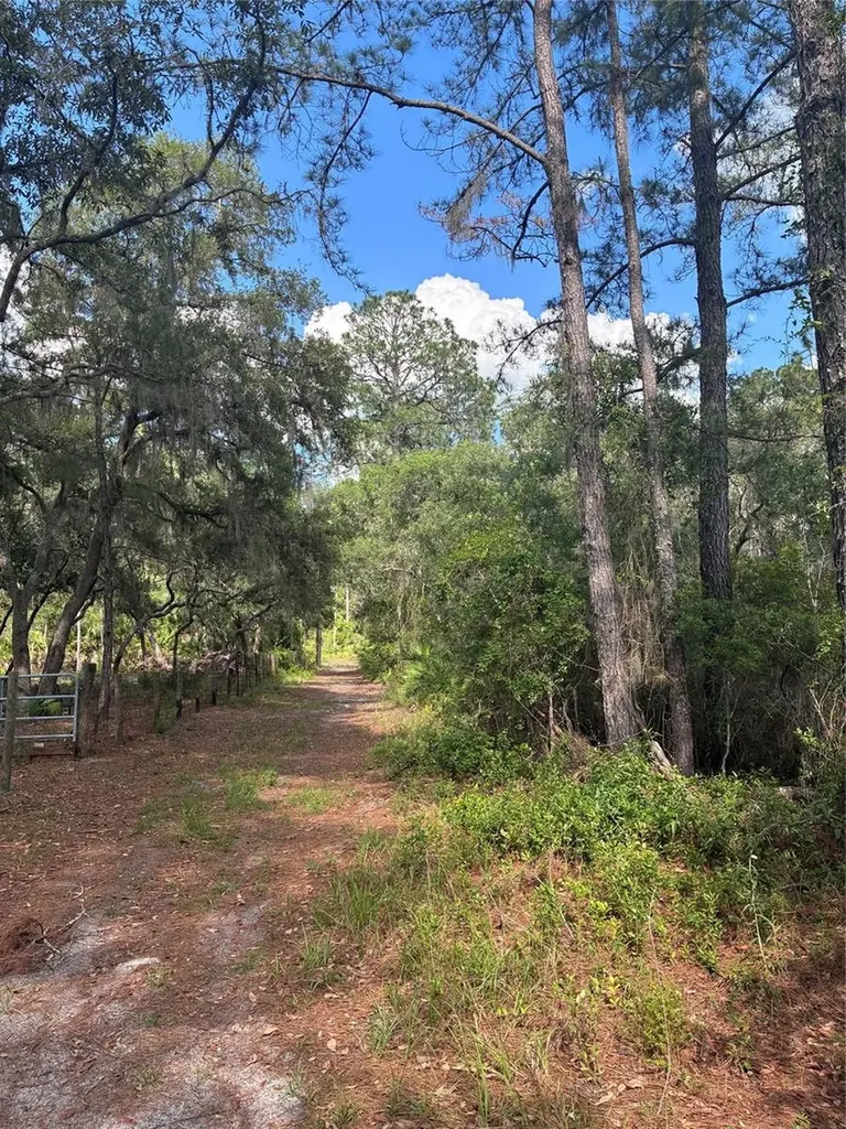 16464 NE 35 Road Citra FL 32113