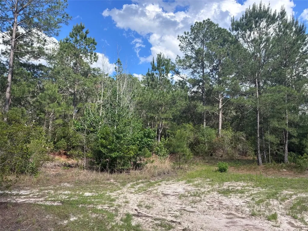 16464 NE 35 Road Citra FL 32113