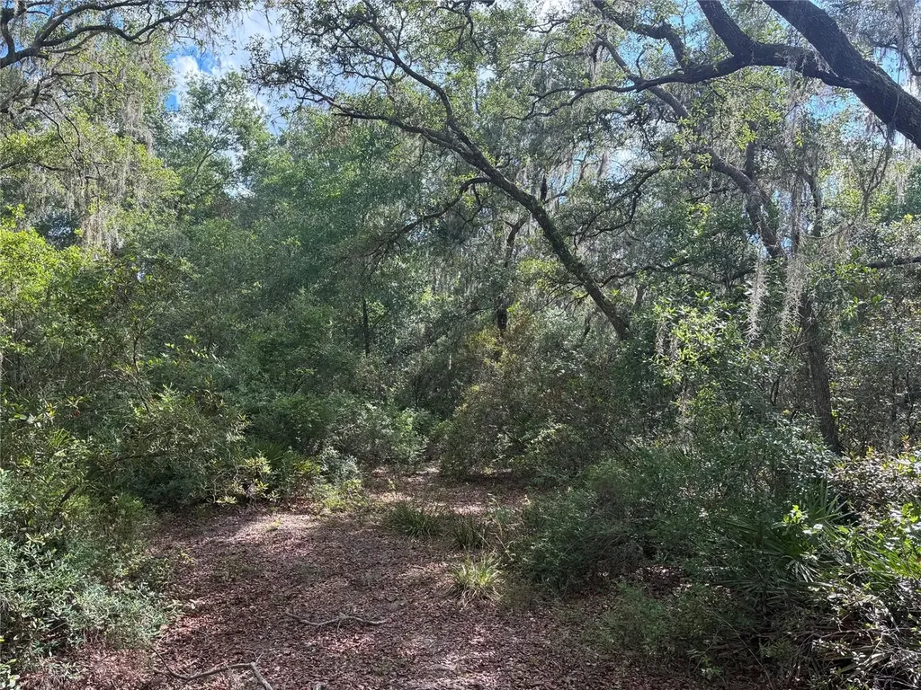 16464 NE 35 Road Citra FL 32113