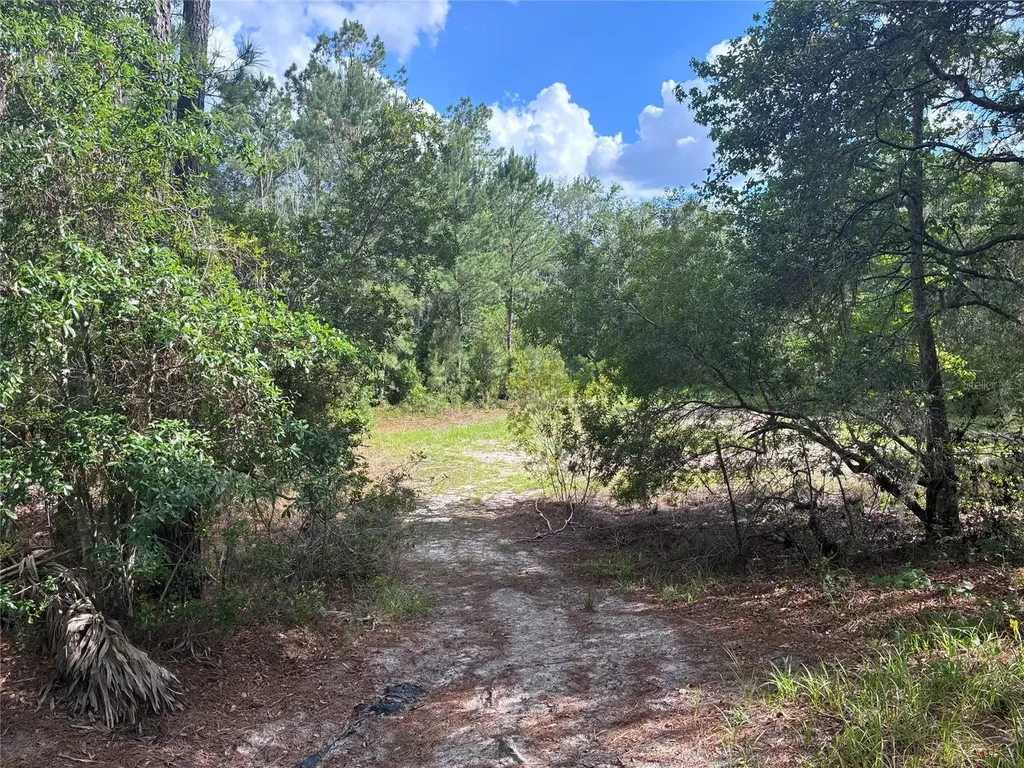 16464 NE 35 Road Citra FL 32113
