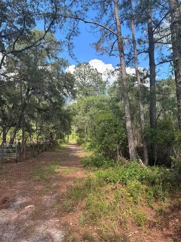 16464 NE 35 Road Citra FL 32113