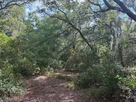 16464 NE 35 Road Citra FL 32113
