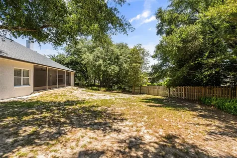 1380 Branch Hill Court Apopka FL 32712