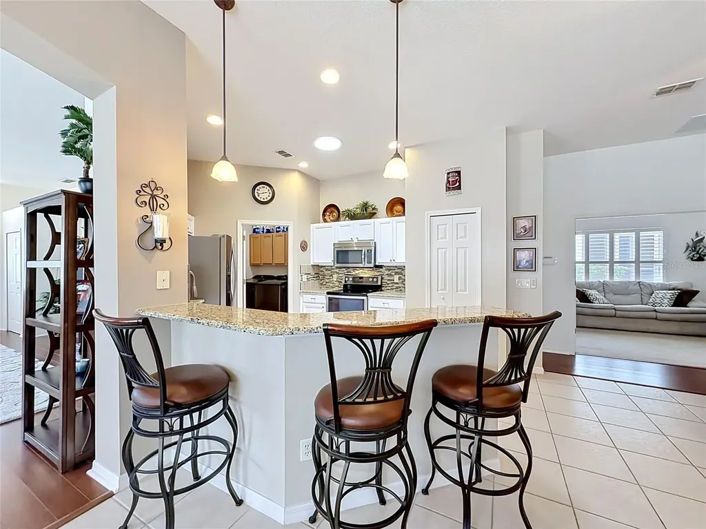 3600 Mount Hope Loop Leesburg FL 34748
