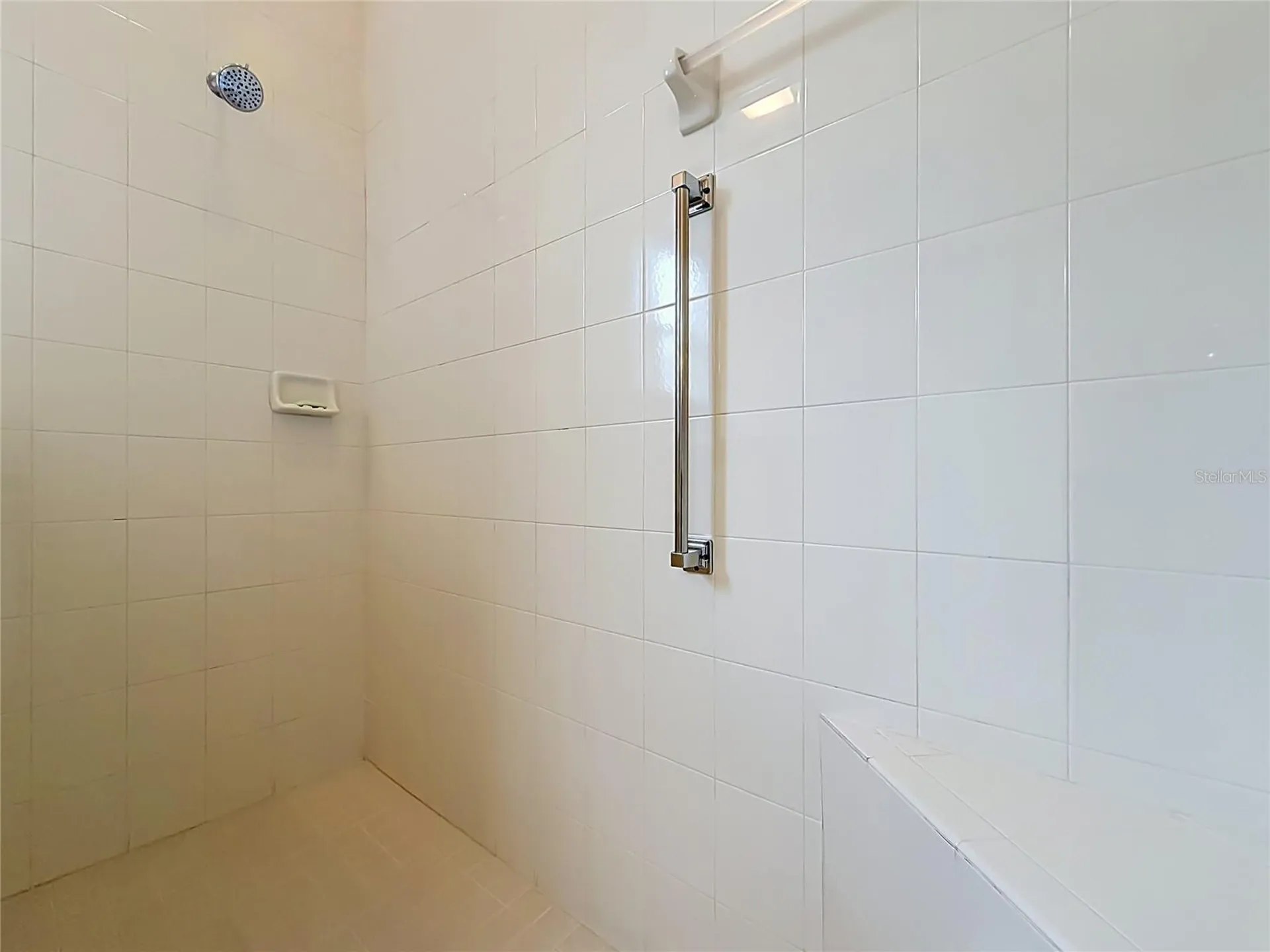 3600 Mount Hope Loop Leesburg FL 34748
