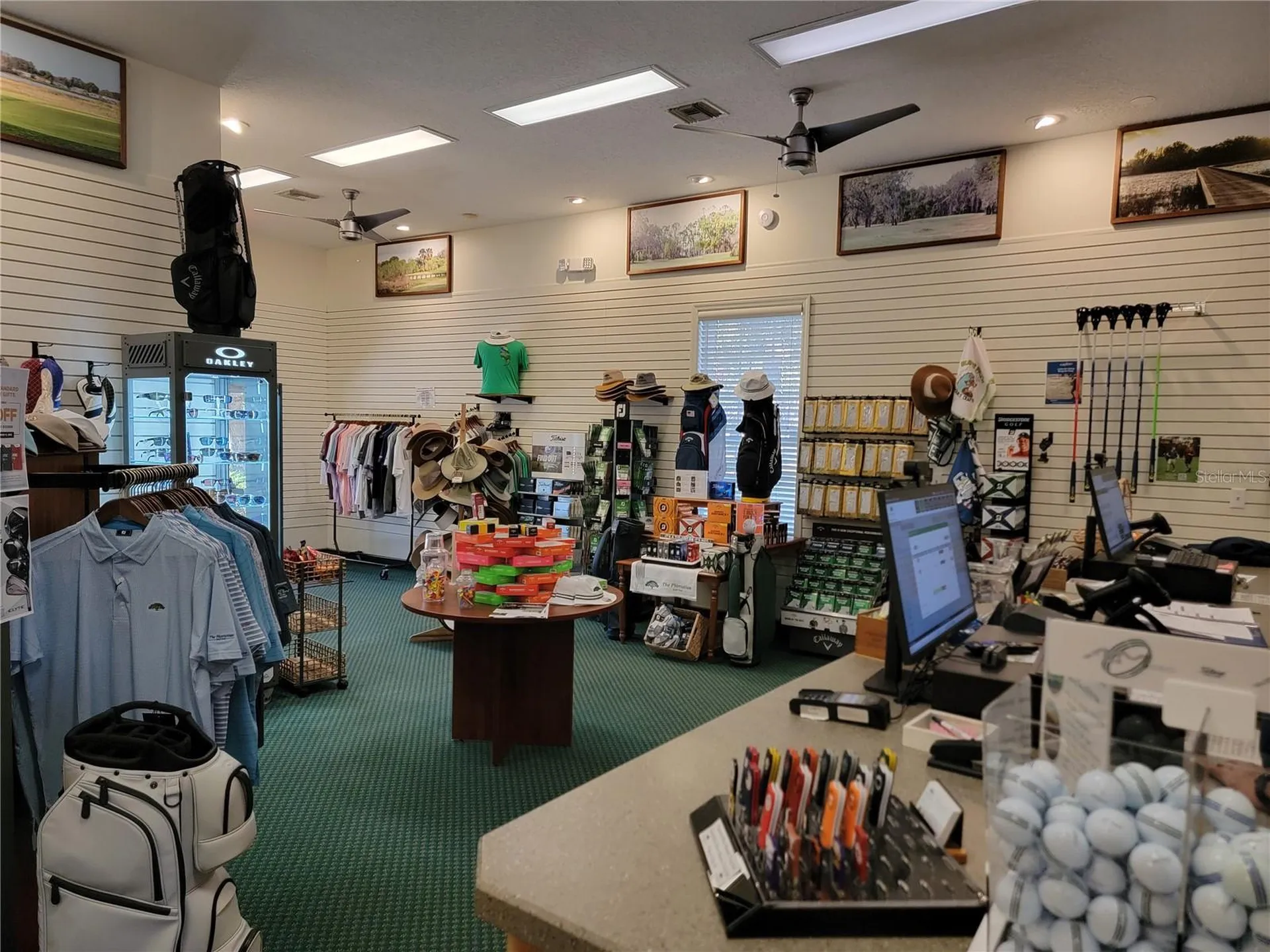 3600 Mount Hope Loop Leesburg FL 34748