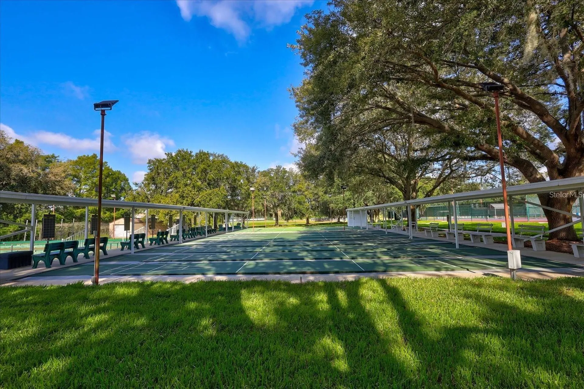 3600 Mount Hope Loop Leesburg FL 34748