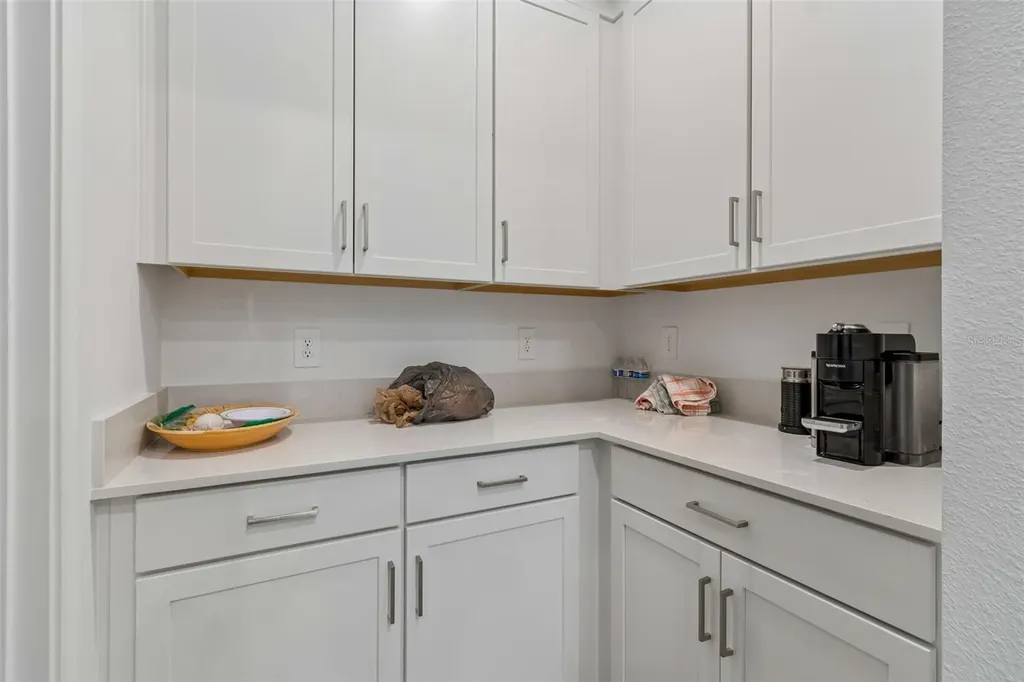 18542 Serene Lake Loop Lutz FL 33548