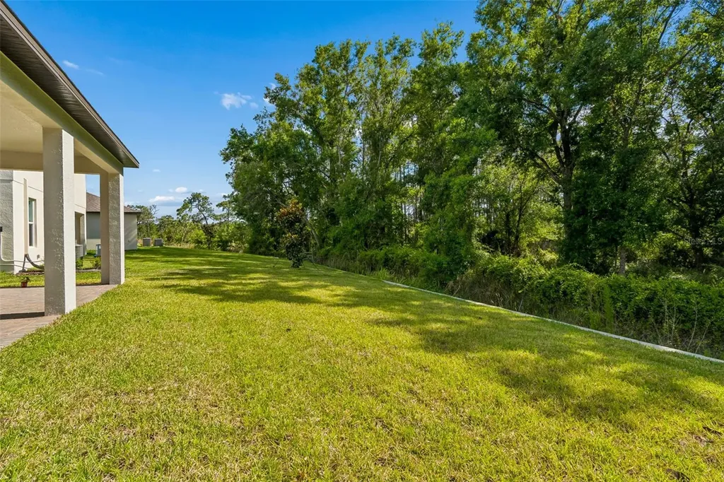 18542 Serene Lake Loop Lutz FL 33548
